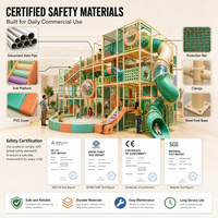 Área de Juegos Interior con Tobogán de Ondas Rosa Crema, Escalones Acolchados y Piscina de Pelotas, Certificación ASTM EN1176, Proyecto para Contratistas