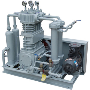 Compresseur d'air à vitesse variable, sans huile, à courroie BT4, à lubrification par conversion de fréquence, petit compresseur de propylène, type refroidi par air - Product Image 3