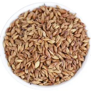 Wholesale of popular substitute tea Coffee aroma Grain Clearing away heat Barley tea