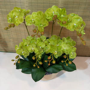 Film-bertekstur dua cabang <span class=keywords><strong>Mini</strong></span> <span class=keywords><strong>Phalaenopsis</strong></span>, bunga buatan pernikahan, dekorasi rumah sentuhan lembab - Product Image 2