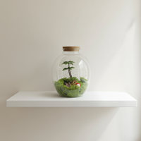 Vase en verre au design unique, terrarium de table en verre avec couvercle en liège pour la décoration intérieure et l'exposition de plantes aériennes