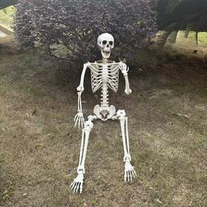 Scheletri di Halloween Economici da 160 cm (5,4 Piedi) per Interni ed Esterni, in Posizioni Umane, in Vendita - Product Image 4