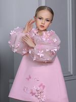 Robe de bal pour fille, robe de fête d'anniversaire, robe de haute couture pour enfants, design spécial, applique florale rose, manches longues