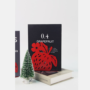 New Design Decorative Red Strawberry Iron Metal Bookends with Non-slip Pad for Kids Desk <b>School</b> Office Desk Decoration - Product Image 4