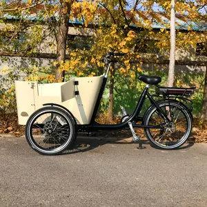Melhor carga elétrica móvel bicicleta reboque 3 roda triciclo com cesta dianteira com porta lateral