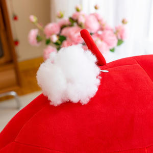 Nouvelle peluche mignonne en forme de poisson rouge, peluche de poisson rouge pour filles, poupée de compagnie pour le lit, poupée pour <span class=keywords><strong>dormir</strong></span>, mignonne et adorable pour la maison - Product Image 6