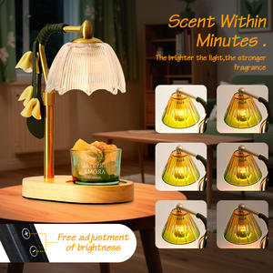 Lampe chauffe-cire électrique LANJO en métal, nouveau modèle, design vintage, avec variateur d'intensité pour l'aromathérapie - Product Image 3