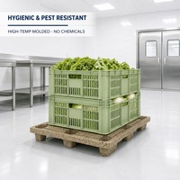 Palettes en bois moulées SPM 15, sans marquage IPPC, sans fumigation, vente en gros pour le stockage et le transport en entrepôt