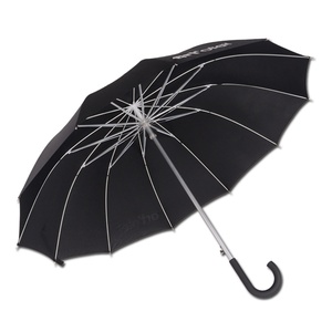 Light Weight Aluminum Durable 12 Ribs Windproof <b>Umbrella</b> - Product Image 1