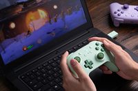 Manette sans fil 8BitD0 Ultimate 2C pour PC Windows et Android, taux de polling 1000 Hz, joysticks à effet Hall, boutons L4/R4 remappables