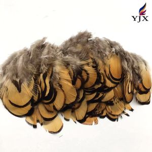 Vente en gros de plumes de faisan de vénerie de couleur naturelle Plumes de faisan Plumes de plumage pour décorations - Product Image 6