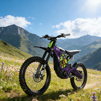 Vélo de montagne électrique haute vitesse 10 kW 2026, puissance de crête 10000 W, batterie amovible 72V35Ah, vélo électrique tout-terrain Sur Ron Ultra Bee