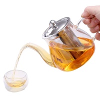 Théière en verre borosilicate transparent de style américain, écologique, faite à la main, 20 oz, résistante à la chaleur, avec infuseur en acier inoxydable et couvercle
