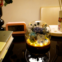 Rose éternelle de haute qualité, rose véritable préservée dans un dôme en verre, cadeau de Noël écologique