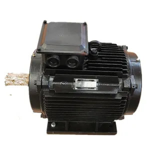 direct drive rare earth permanent magnet motor alternator generator