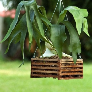 Panier <span class=keywords><strong>en</strong></span> bois fabriqué à la main plantation de bois planteur lit divisible jardin pour fleurs légumes herbes arrière-cour artisanat <span class=keywords><strong>en</strong></span> bois - Product Image 2