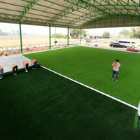 Bester Preis für Sportbodenbelag Basketballplatz Grasmatte Teppiche Synthetischer Fußballteppich Kunstrasen