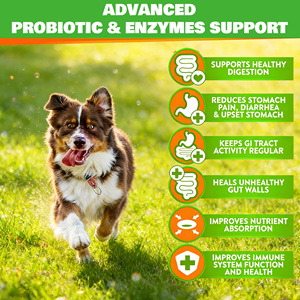 30 Miliardi di CFU Probiotici in Compresse Masticabili <span class=keywords><strong>per</strong></span> <span class=keywords><strong>Cani</strong></span> e Gatti, Supporto Digestivo e Immunitario, 170 Compresse Masticabili, 340 g, Integratore <span class=keywords><strong>per</strong></span> Animali Domestici OEM - Product Image 4