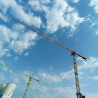 Tower Crane QTZ125 Bekas 8 Ton dengan Motor & Mesin, Kapasitas Angkat 1250KN.M, Peralatan Konstruksi Buatan China dalam Kondisi Baik