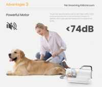 Kit de toilettage pour animaux de compagnie électrique professionnel en ABS, aspirateur 2L, élimination des poils de chien, moteur puissant à faible bruit