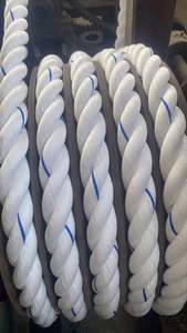 PP Danline Rope Marine Rope Shandong China 3mm-60mm PP Baler Twine Polypropylene Split Film 3 Strands pp Twisted Rope - Product Image 3