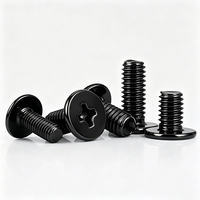 Vis à tête plate fine Phillips en acier inoxydable 304, plaqué zinc noir, vente en gros