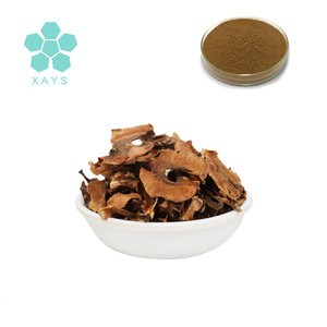 YOUSHUO Polvo de Extracto Natural Fresco de Corteza de Juglans <span class=keywords><strong>Regia</strong></span> / Nuez, 30:1 - Product Image 6