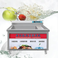 Commerciële groentewasmachine 304 roestvrijstalen fruitwasser met ozonontsmetting