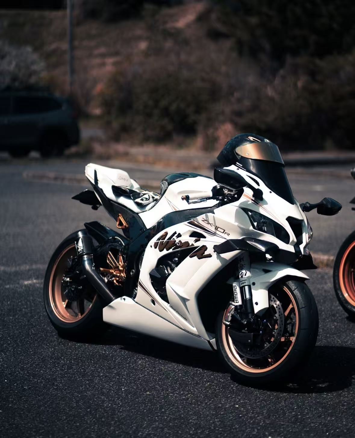 Low Price ZX 10R Carbon Fiber Tank Protector | Alibaba.com