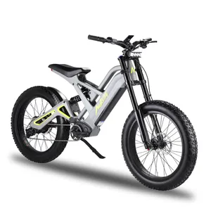 Mukuta Knight 24 Inch Aluminum Alloy Frame Bike Electric 52V 20Ah 1200W Moutain Electric Bicycle China Electric Bike