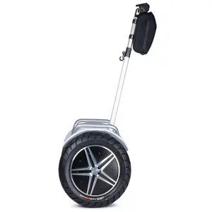 Latest High Quality Off Road Big Wheel Self Balance Scooter for Security Patrol,Electric Chariot with Flash Light