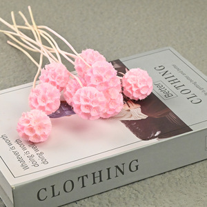 Vainas de Scabiosa Secas de Tallo Largo, Conservadas, para Decoración Floral de Bodas, Centros de Mesa y Relleno Floral - Product Image 6