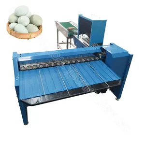 Multifunctional washer grader egg sorting machine for sale with low price