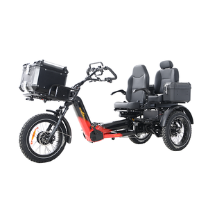 Triciclo de Carga de Alta Calidad de 2500w, 48v 152ah, Bicicleta Eléctrica con Batería de Litio, Bicicleta Eléctrica para Adultos 2026 - Product Image 3