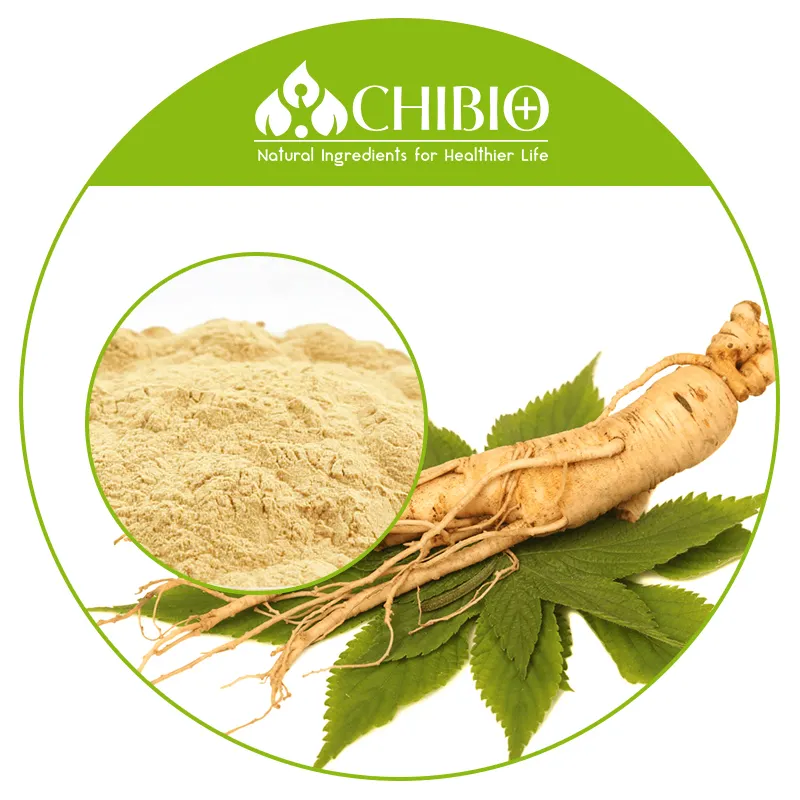 Alta qualidade 10% panax ginsenoside raiz asiática ginseng preço do extrato