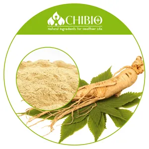 Alta qualità 10% Panax Ginseng Ginsenoside radice estratto di Ginseng asiatico prezzo