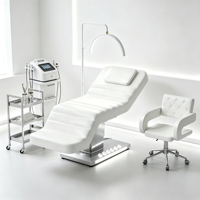 Lit de beauté électrique à 4 moteurs, fauteuil facial réglable, base argentée, lit de traitement cosmétique inclinable pour clinique esthétique