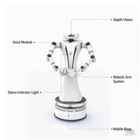 Platform Robot Mobile yang Dilengkapi Manipulator Tujuh Sumbu Ganda Spesifikasi Teknis