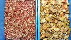 Tự động lựu hạt giống loại bỏ lột tách máy niềm đam mê bưởi Peeler lựu Máy gieo hạt - Product Image 3