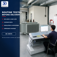 Transformateur de distribution triphasé immergé dans l'huile DERUI S13M 30-2500 KVA à faible perte sous vide, conception de réservoir entièrement scellé 11 KV 15 KV