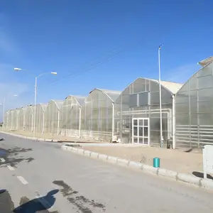 commercial polycarbonate sheet greenhouses with micro drip irrigation tomatoes hydroponic green house
