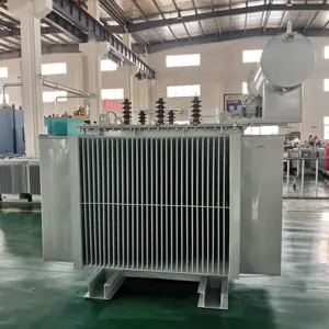 33KV 100KVA 200KVA 300KVA 400KVA 500KVA 800KVA 1000KVA 1500KVA olio immerso di distribuzione di potenza trasformatore