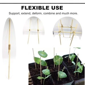 Pinchos <span class=keywords><strong>de</strong></span> 4,5 MM <span class=keywords><strong>de</strong></span> diámetro X 20 "<span class=keywords><strong>de</strong></span> longitud, pincho <span class=keywords><strong>de</strong></span> bambú para surcos con ranura <span class=keywords><strong>de</strong></span> cabeza cóncava para soporte <span class=keywords><strong>de</strong></span> plantas, etiqueta <span class=keywords><strong>de</strong></span> planta <span class=keywords><strong>de</strong></span> bambú - Product Image 5
