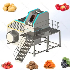 Automatic 25T Low Loss Tomato Steam Peeling Machine Industrial Potato Steam Peeler Cheap Price For Sale