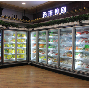 Congelatore Verticale con Porta in Vetro per Supermercati, Raffreddamento ad Aria, Controllo Digitale, Ripiani Regolabili per Esposizione di Alimenti Surgelati - Product Image 5