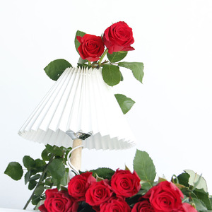 Forniture per San Valentino Rose Rosse Fresche Cherish Red Fiori Freschi dalla Cina Decorazione di Nozze per la Casa - Product Image 6