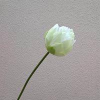 Fleurs de soie artificielles de Lotus en soie artificielle de haute qualité pour la décoration intérieure fleurs de nénuphar artificielles