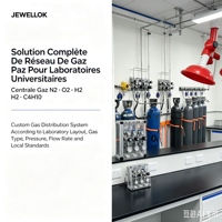 JEWELLOK Réseau de Gaz Université Centre de Recherche Laboratoire d'Analyse N2 O2 H2 C4H10 Installation Clé en Main