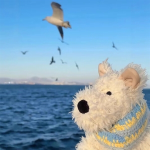 Collection complète de jouets en peluche super doux Jellycat du Royaume-Uni, avec sac anti-poussière, ours de Barcelone et jouets en coton PP - Product Image 1