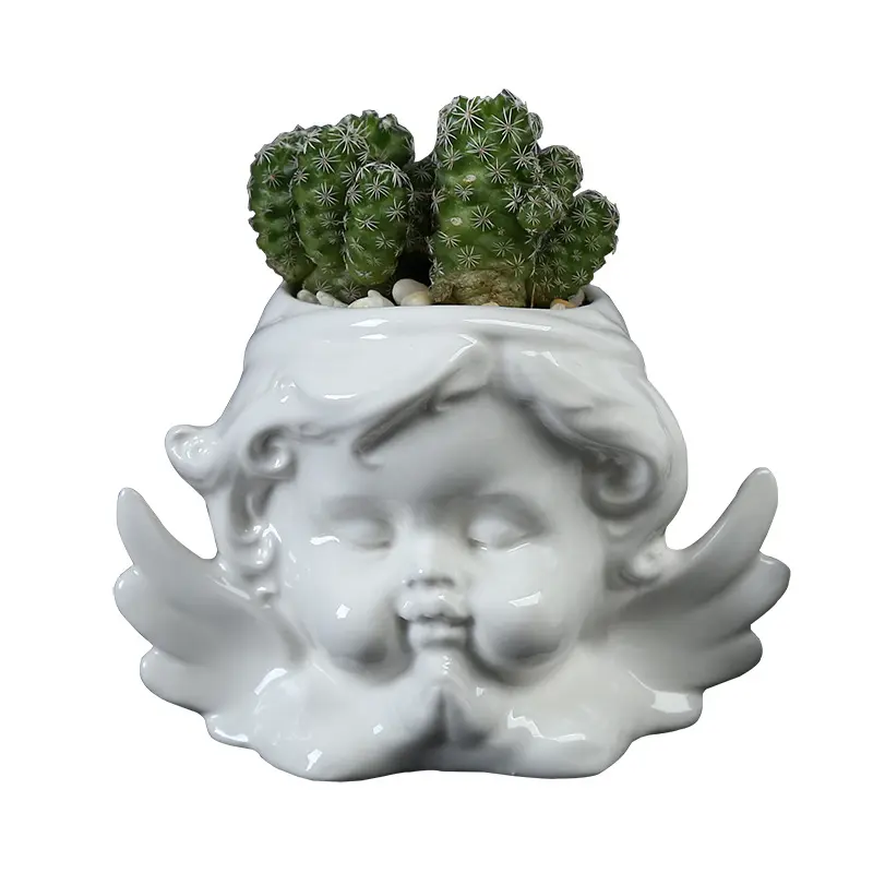 Vaso de cerâmica para bebês, plantas suculentas